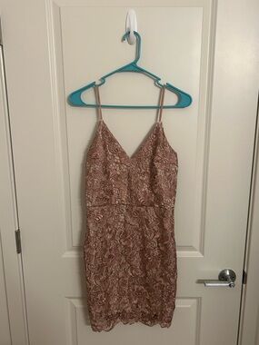 Express Dusty Rose Dress